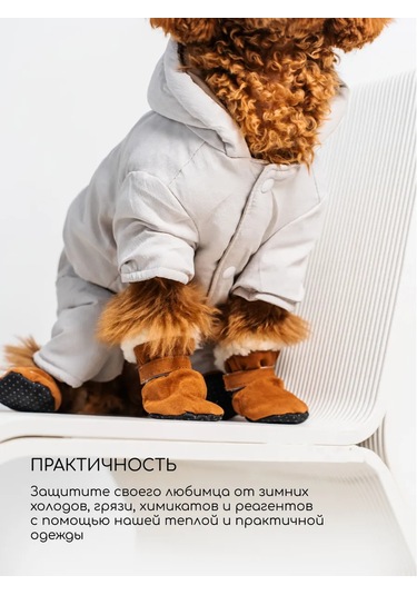 Petite Pets Küçük Ve Orta Boy Köpekler İçin Ayakkabı 270588346