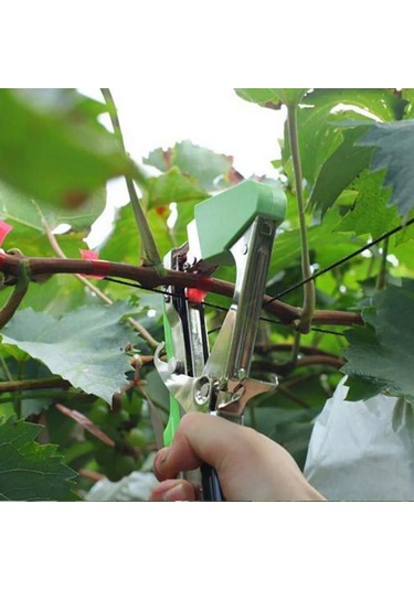 Suca Bitki Bağlama Makası Bağlama Bandı Ve Zımba Hediyeli