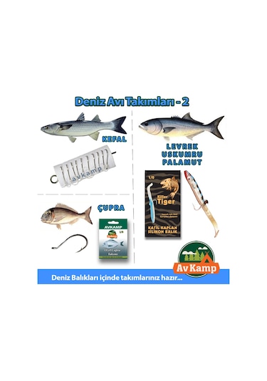 Surf Olta Takımı Olta Seti