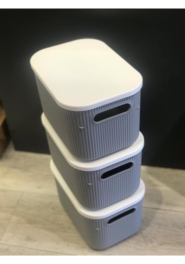 Bayev 3 Adet Storage 6lt Gri Çok Amaçlı Dolap Içi Düzenleyici Kapaklı Kutu, Dekoratif Saklama Kutusu Çok Renkli