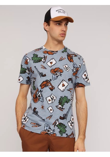 Zolla Baskılı Pamuklu Erkek Tişörtü 234588657 Gri