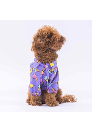 Pawstar Ice Cream Kedi Köpek Gömleği