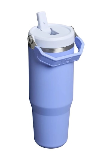 Stanley The Iceflow Flip Straw Pipetli Termos Bardak 0.89 Lt Matara Lila