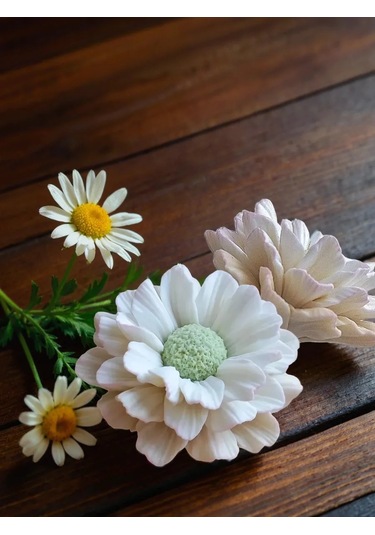 Koroleva Formy Yiyecekler İçin Silikon Kalıp Papatya Büyük 305266770 Diğer