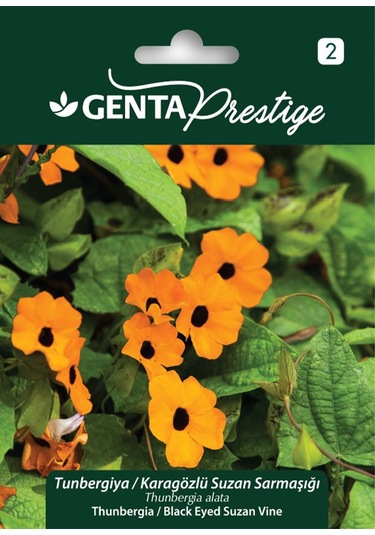 Genta - Karagözlü Suzan Sarmaşığı Bitkisi Tohumu