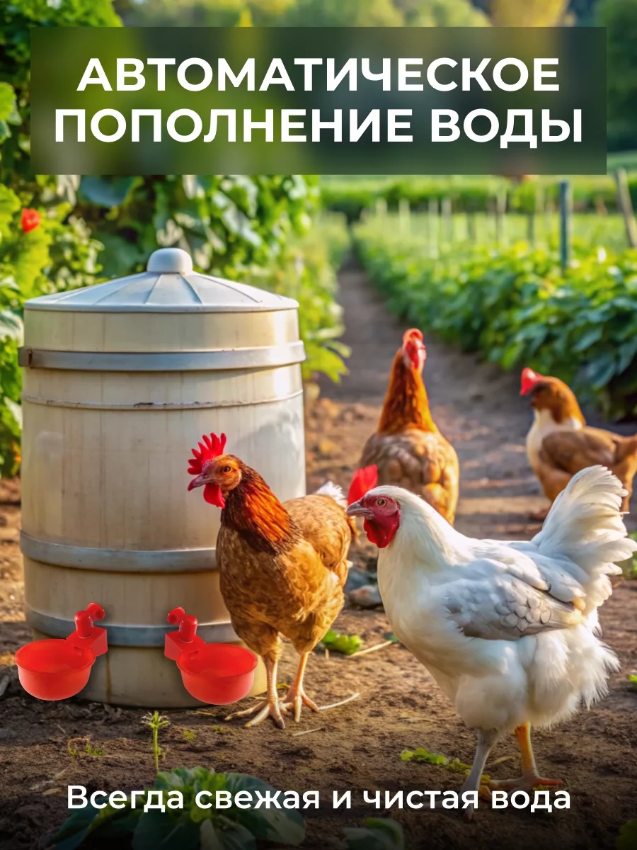 Home Sweet Home Kavanoz Suluk, 10 Adet 240212028