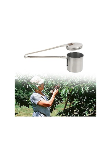 Homyl Küçük Meyveler Tarihleri İçin Paslanmaz Çelik