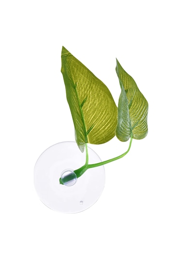 Xiyyadms Akvaryum Yeşil Yapraklar - Balıklar İçin Doğal Dinlenme Ve Yumurtlama Alanı 2 Yaprak