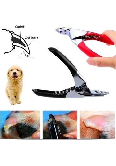 Buffer Evcil Hayvanlarınız İçin Tırnak Makası Çok Renkli