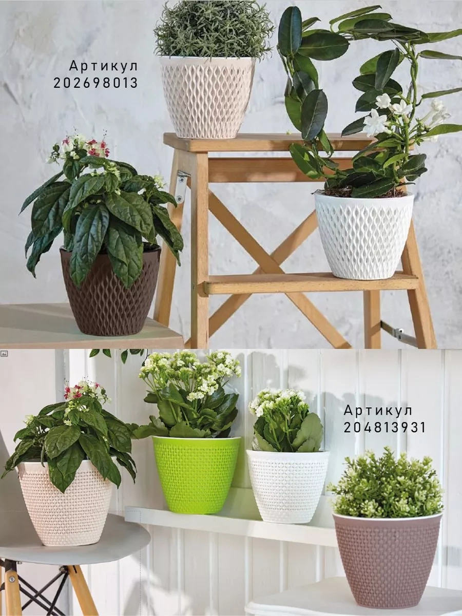 La Decoro Ev Bitkileri İçin Saksı, Çiçek Saksısı, Saksı 222603213