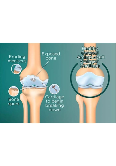 Genacol Plus Glucosamine Collagen 90 Kapsül