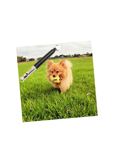 Islığı Kayışlı Kovucu Düdük. Islık Çalmayı Bırak Köpek Eğitim