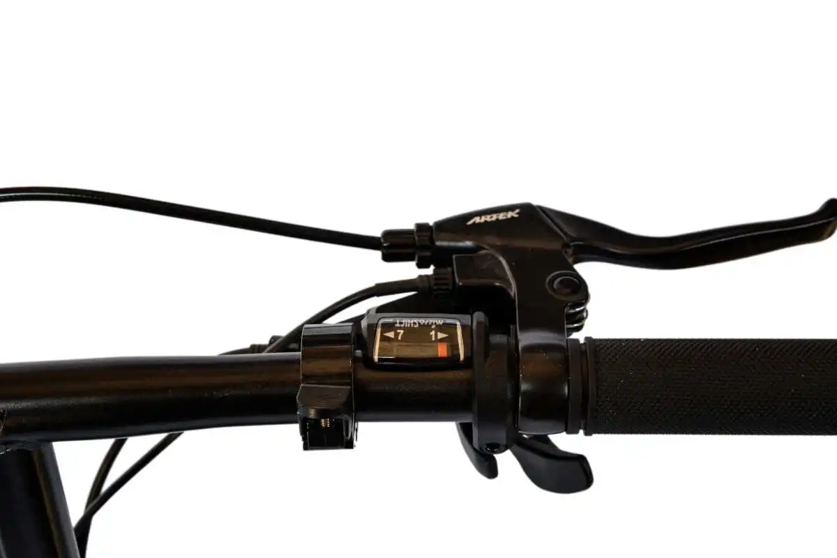 Roxform Sasha Elektrikli Şehir Bisikleti - 250w Motor, 20 İnç Jant, Led Aydınlatma, Siyah Siyah