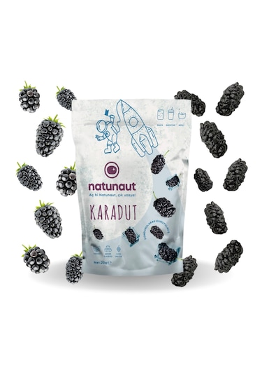 Natunaut Kuru Karadut Meyve Cipsi 20 G