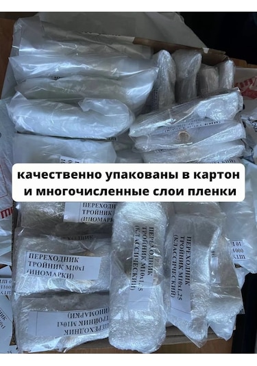 Wp Fren Borusu Şantı Somunu Z-106 247300025