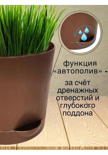 Interm Kaktüs Saksısı Minik Succulent, Menekşe Ve Çiçekler İçin Saksı 133193596