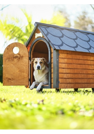 Mandu Ahşap Köpek Kulübesi