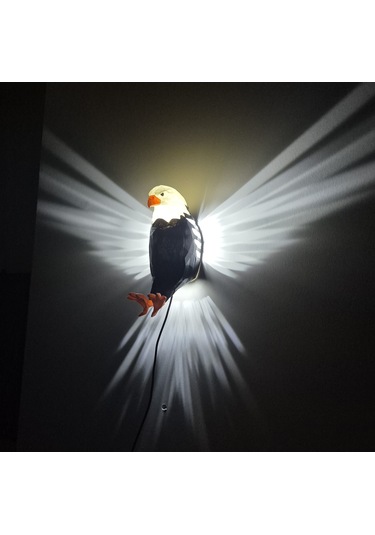 Work3d Adaptörlü Renkli Kartal Aplik Beyaz