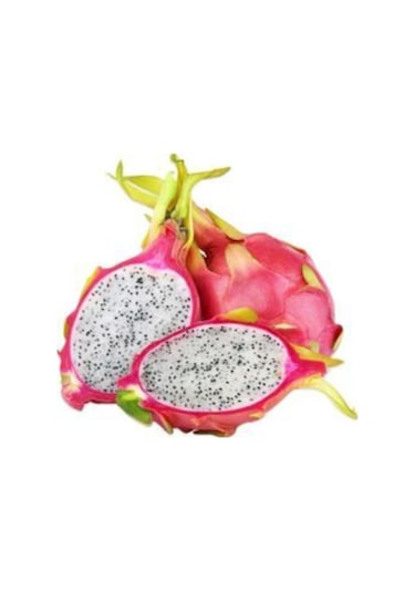 Tropikal Pitaya Tohumu Ekim Seti