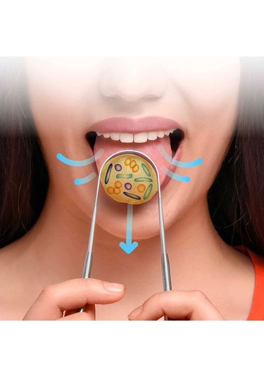 Buffer Dil Temizleme Dil Sıyırıcı Ve Temizleme Aparatı