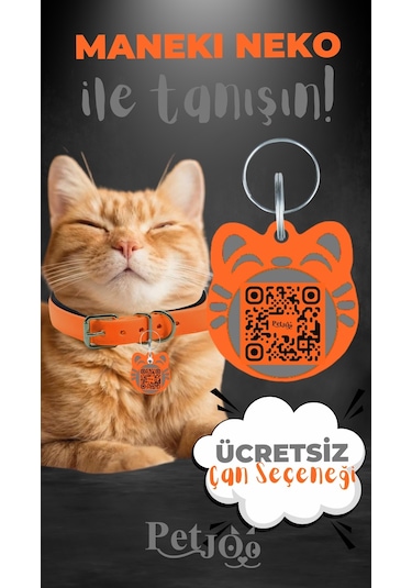 Petjoo 4.Maneki Neko Gri-Turuncu Qr'lı Kedi Künyesi