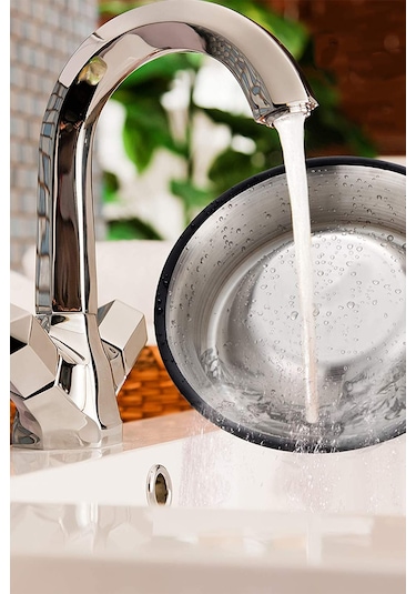 Noyiska Paslanmaz Çelik Metal Kedi Köpek Mama ve Su Kabı