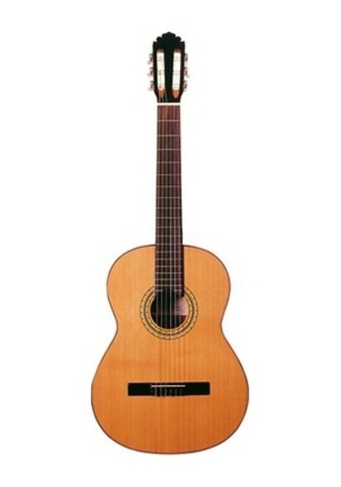 Mod11 Flamenko Gitar