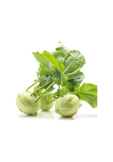 Ata Tohum Geleneksel Yeşil Kohlrabi Alabaş Tohumu 20 Tohum