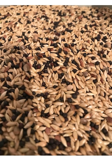 Vivid Standart Karışık Kanarya Yemi 1 KG