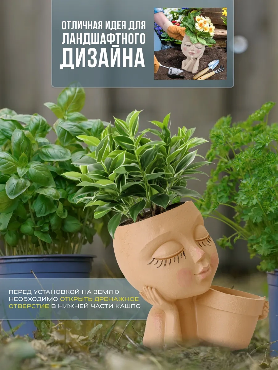 Alpy Çiçekler İçin Saksı Başı 220346868