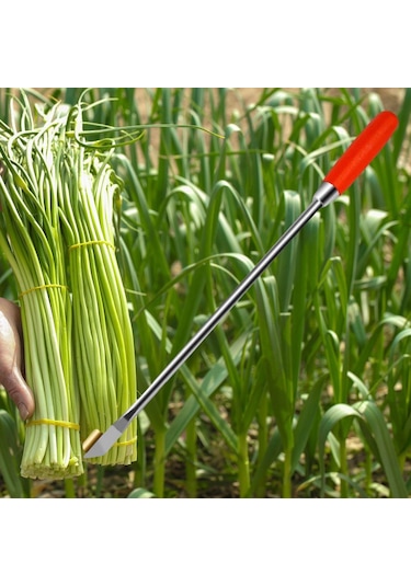 Suntek Magideal Sarımsak Soyma Aparatı Gümüş