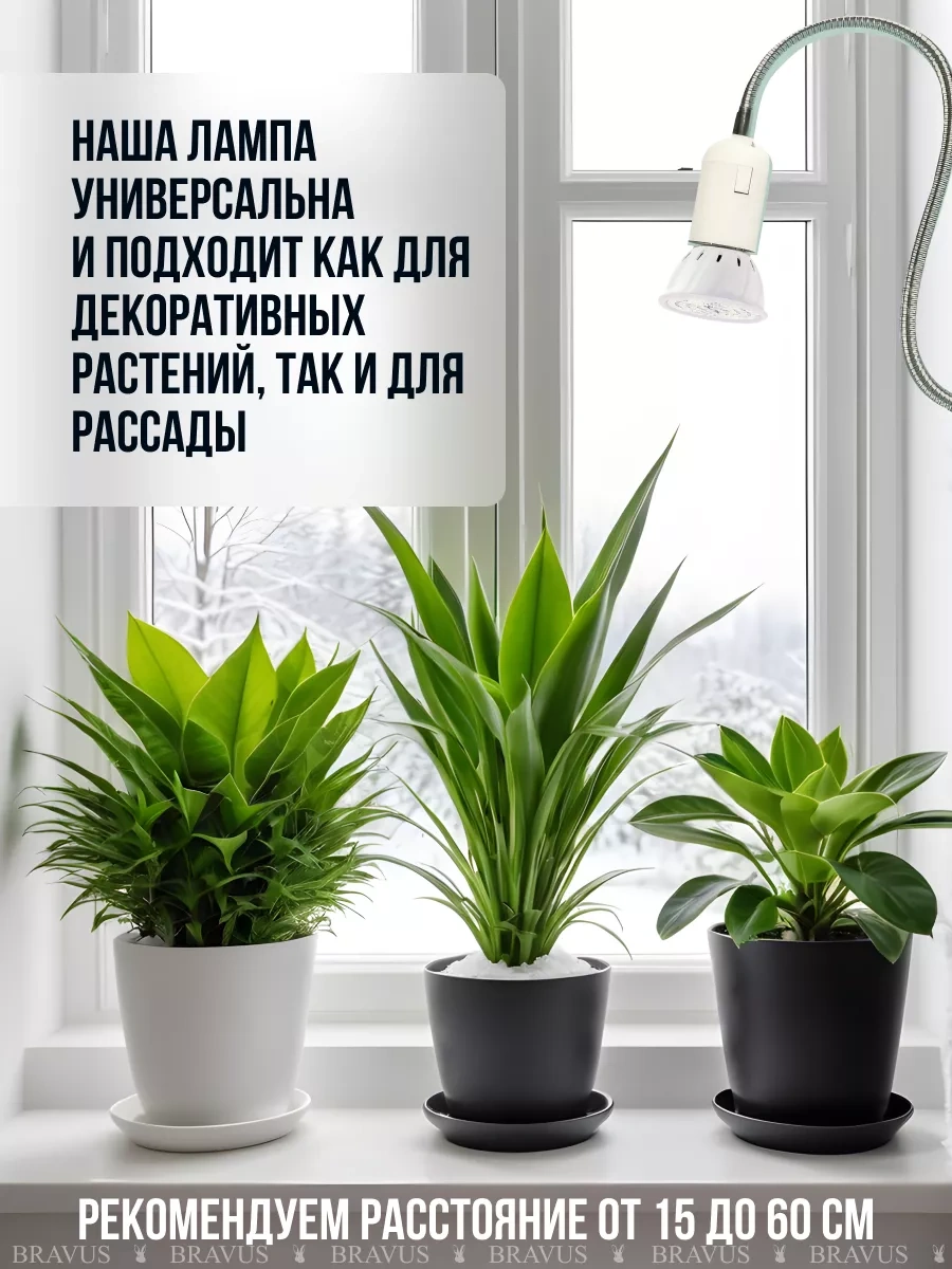 Bravus Fitolift Bitkileri İçin Fideye Uygun Uv Kelepçeli Lamba 196481213 Kırmızı