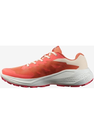 Salomon Alphaglide Kadın Koşu Ayakkabısı - L47801700-7204 Çok Renkli