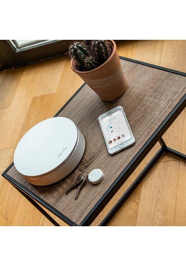 Somfy 2401494 İç Mekan Siren Hırsızları Caydırır Ve Kaçırır