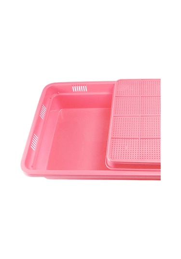 Suntek Tohum Filizleme Tepsisi 2 Katmanlı Mikro Yeşiller Pembe