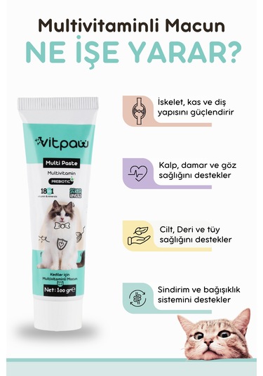 Vitpaw Multi Paste 100 G