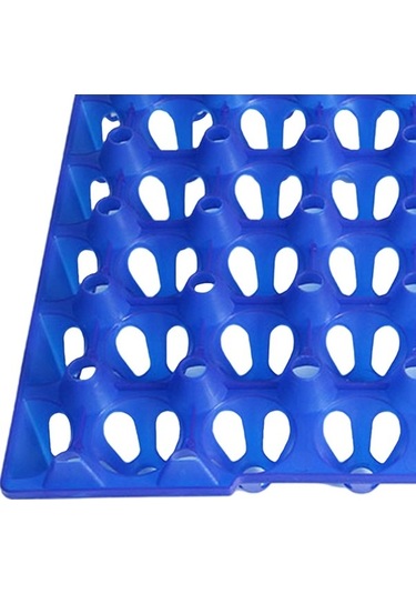 Pazly Yumurta Uzun Mesafe Taşıma Suntek Nefes Kabı Çiftlik Mavi Ru