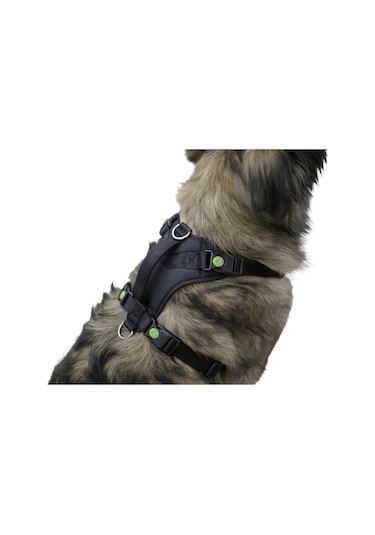 Kerbl Göğüs Tasması Köpek Siyah 72 - 96 CM Siyah
