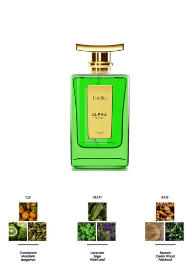 Lucille Alpha Erkek Parfüm EDP 100 ML