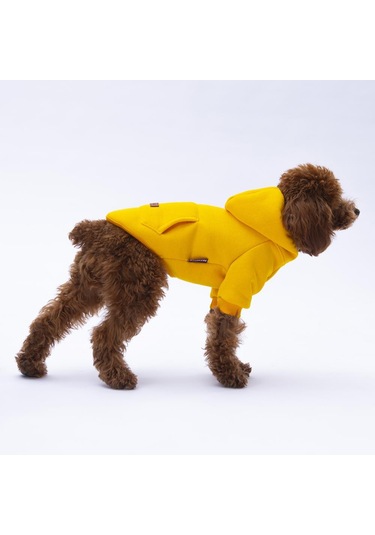 Sarı Kanguru Cepli Kedi-köpek Hoodie- Sweatshirt Kedi Köpek Kıyafeti
