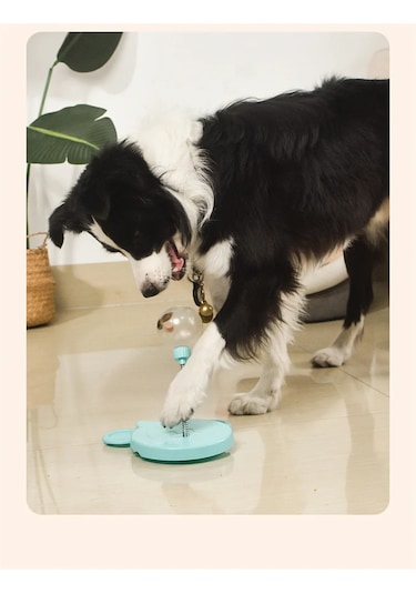 Monozone Catnipli Kedi Köpek Ödül Maması Dağıtıcı