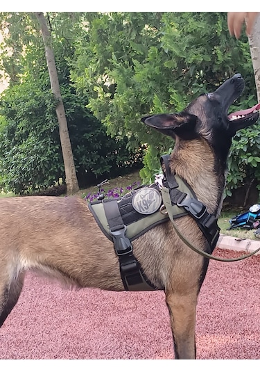 Tactical Göğüs Tasması Taktik Tasma Haki