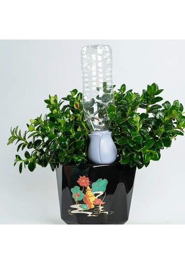 4 Adet Set Otomatik Bitki Sulama Stakes Lale Kendinden Sulama