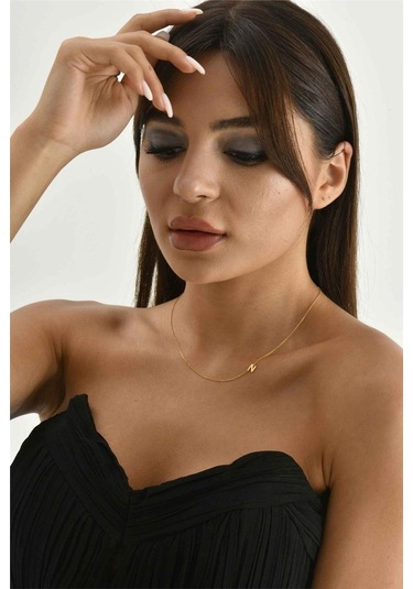 Minamis Silver 925 Ayar Gümüş N Harfi Köprücük Kolye-2305