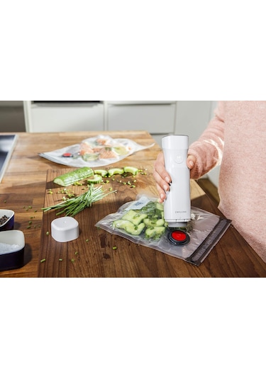 Zwilling Vakum Pompası