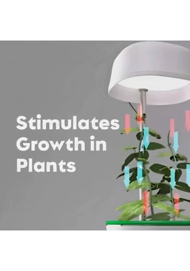 Bahçe Bakımı İçin Hızlı Bitki Yetiştirme Bahçıvan Saksısı