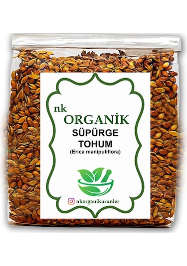 Süpürge Tohum Erica Manipuliflora 25gr