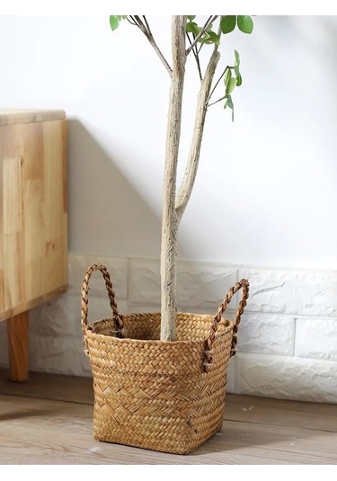 Home Set Ev Bitkileri İçin Saksı 284255663