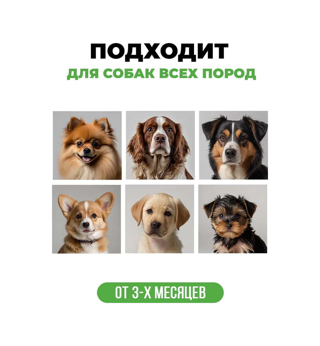 Spets Köpekler Ve Yavrular İçin Şampuan, Hipoalerjenik Pantenol İçerikli, 1l 145159119