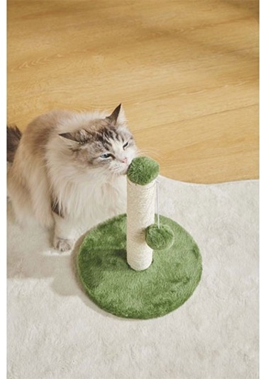 M-pets My First Ponponlu Kedi Tırmalama Tahtası Yeşil 24x24x30 Cm 244-54010.01